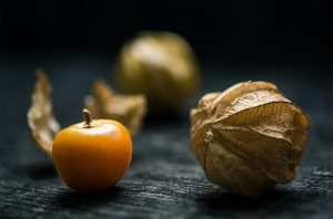 Physalis mit und ohne Blätter